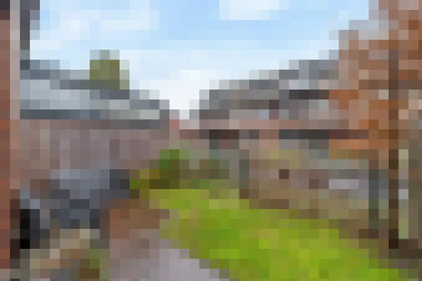 Bruinvis 11 Naaldwijk thumbnail 8