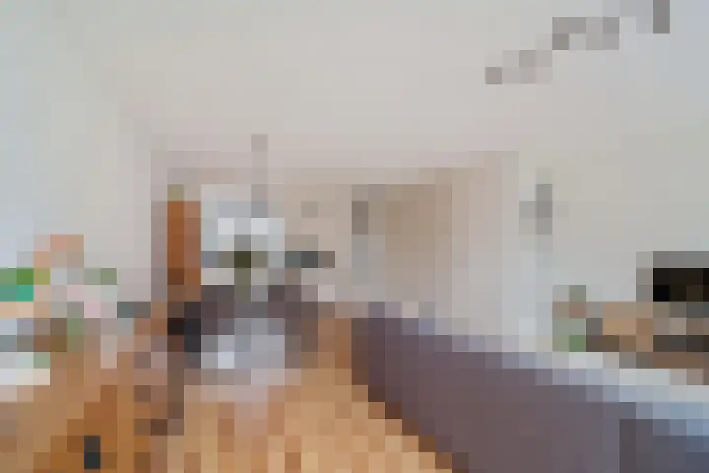 Bruinvis 11 Naaldwijk thumbnail 9