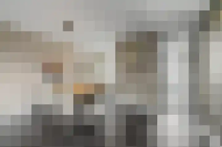 Bruinvis 15 Naaldwijk thumbnail 11