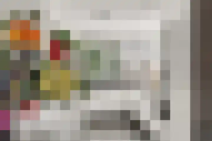 Bruinvis 15 Naaldwijk thumbnail 12