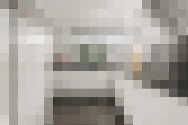 Bruinvis 15 Naaldwijk thumbnail 13