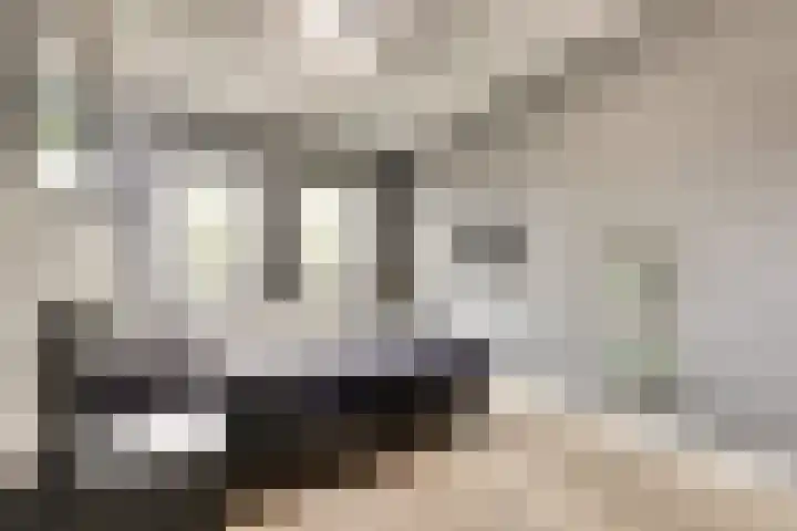Bruinvis 15 Naaldwijk thumbnail 16