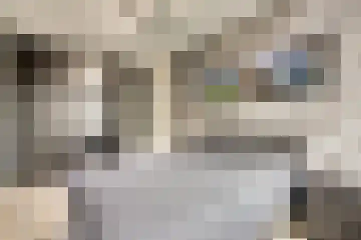 Bruinvis 15 Naaldwijk thumbnail 17