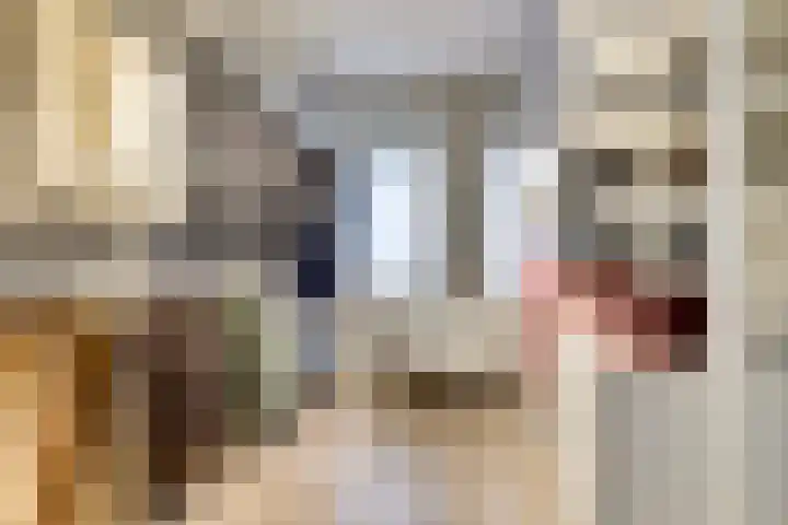 Bruinvis 15 Naaldwijk thumbnail 18