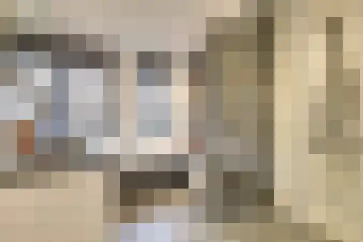 Bruinvis 15 Naaldwijk thumbnail 19