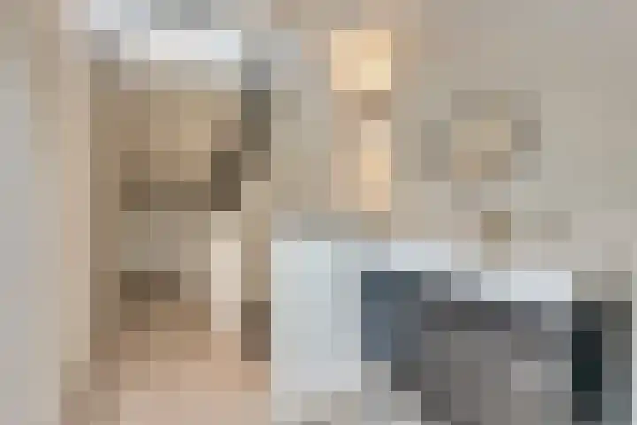 Bruinvis 15 Naaldwijk thumbnail 21