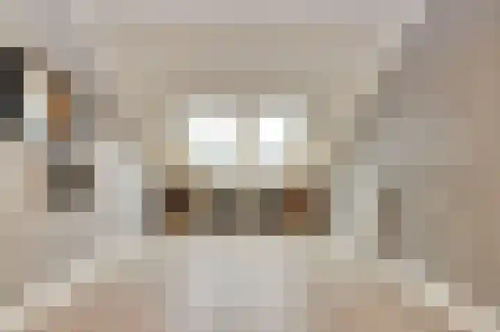 Bruinvis 15 Naaldwijk thumbnail 22