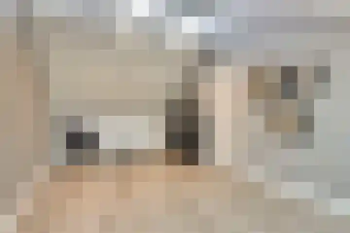 Bruinvis 15 Naaldwijk thumbnail 23
