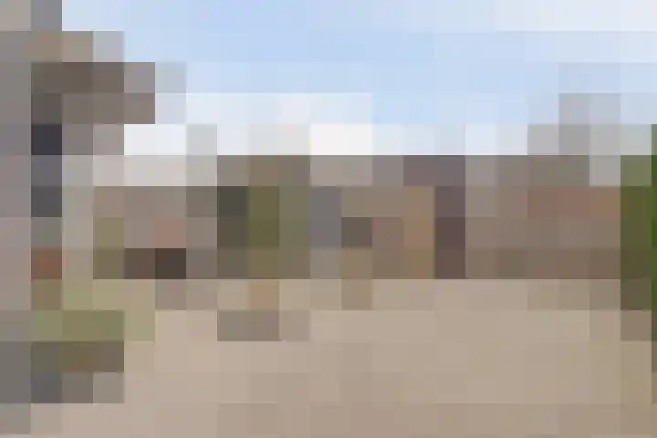 Bruinvis 15 Naaldwijk thumbnail 26