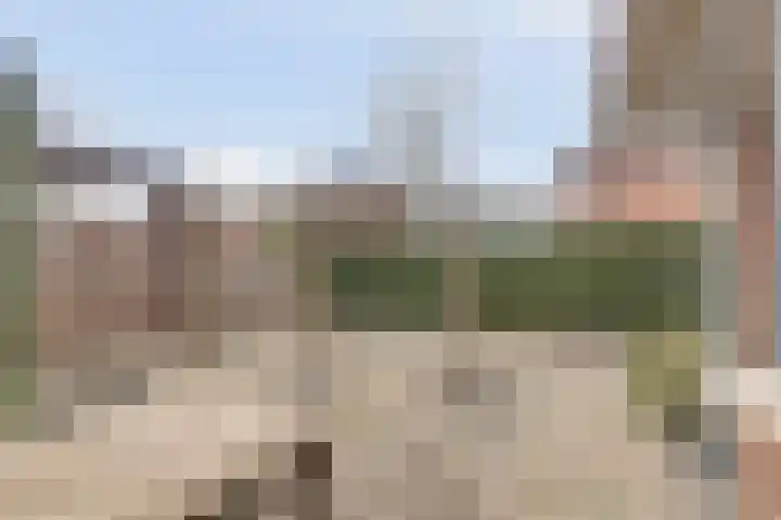 Bruinvis 15 Naaldwijk thumbnail 27