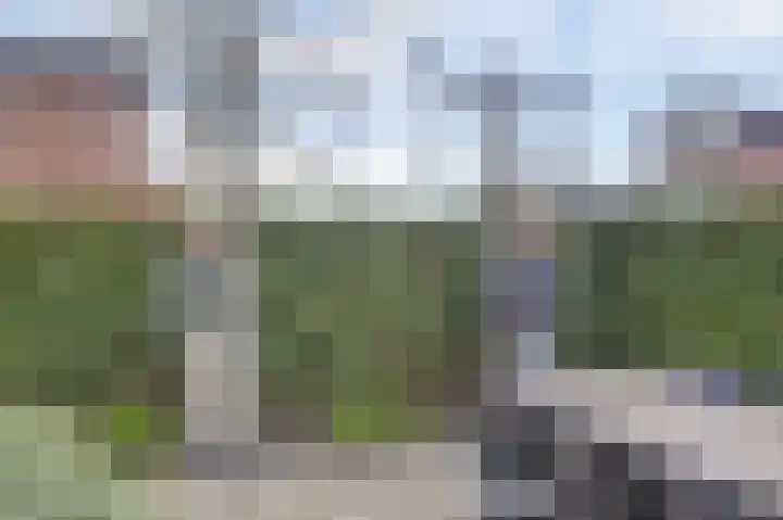 Bruinvis 15 Naaldwijk thumbnail 28