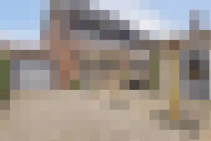 Bruinvis 15 Naaldwijk thumbnail 29