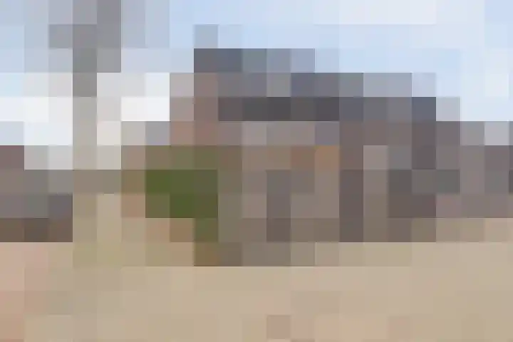 Bruinvis 15 Naaldwijk thumbnail 30