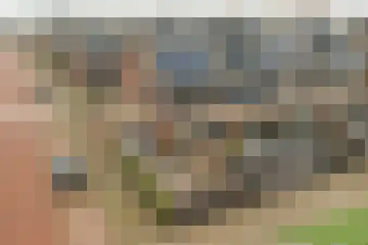 Bruinvis 15 Naaldwijk thumbnail 31