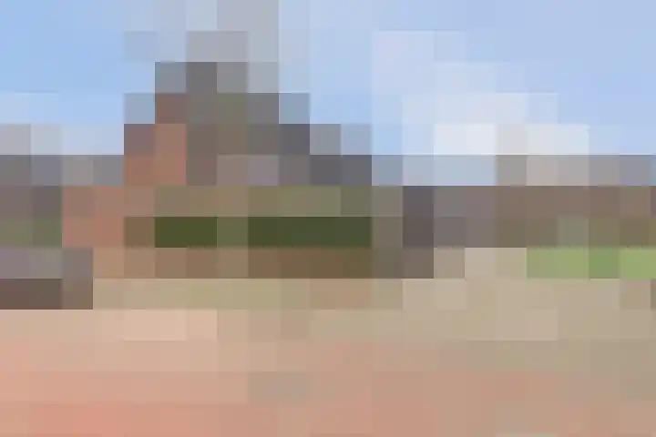 Bruinvis 15 Naaldwijk thumbnail 33