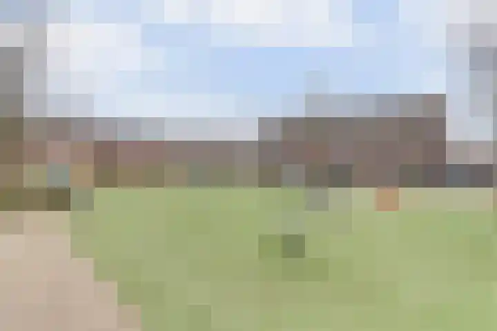Bruinvis 15 Naaldwijk thumbnail 34