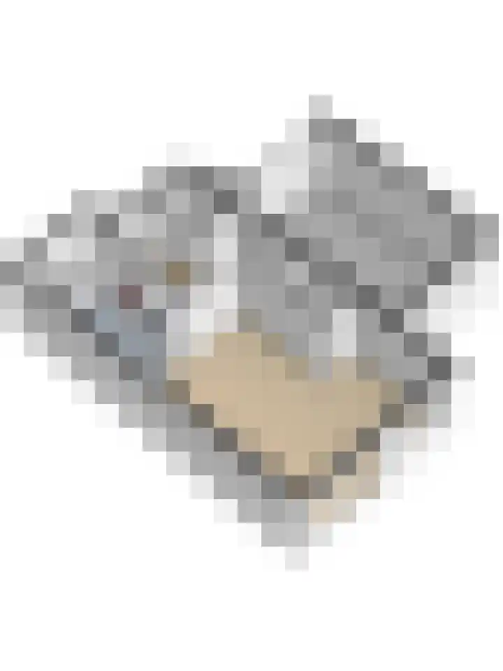 Bruinvis 15 Naaldwijk thumbnail 37