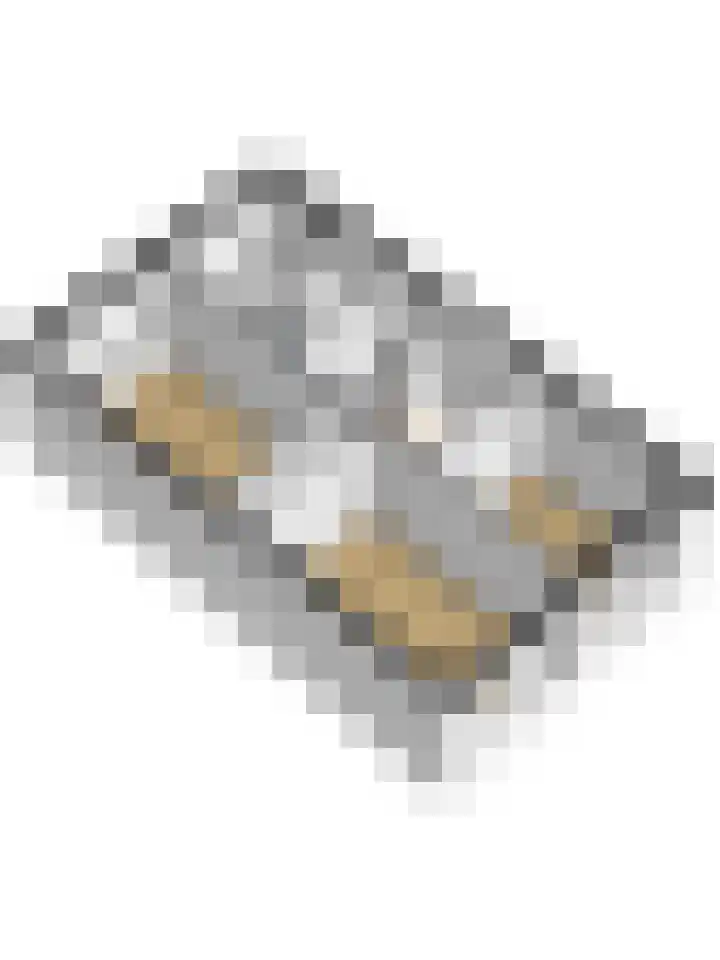 Bruinvis 15 Naaldwijk thumbnail 39