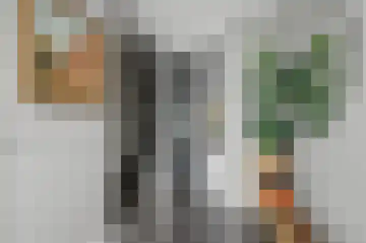 Bruinvis 15 Naaldwijk thumbnail 4