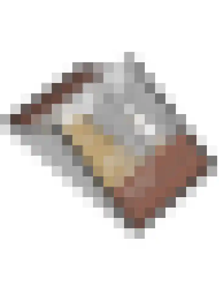 Bruinvis 15 Naaldwijk thumbnail 41