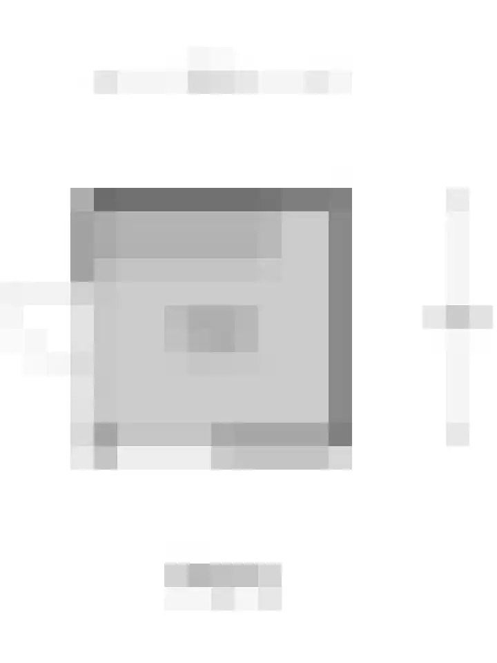 Bruinvis 15 Naaldwijk thumbnail 42