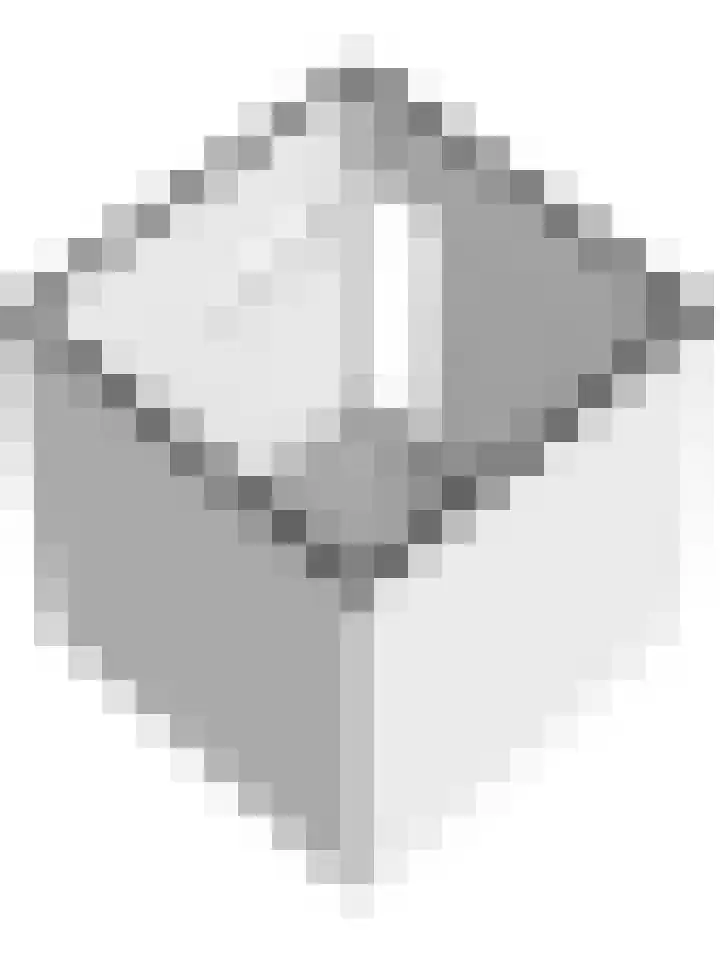 Bruinvis 15 Naaldwijk thumbnail 43