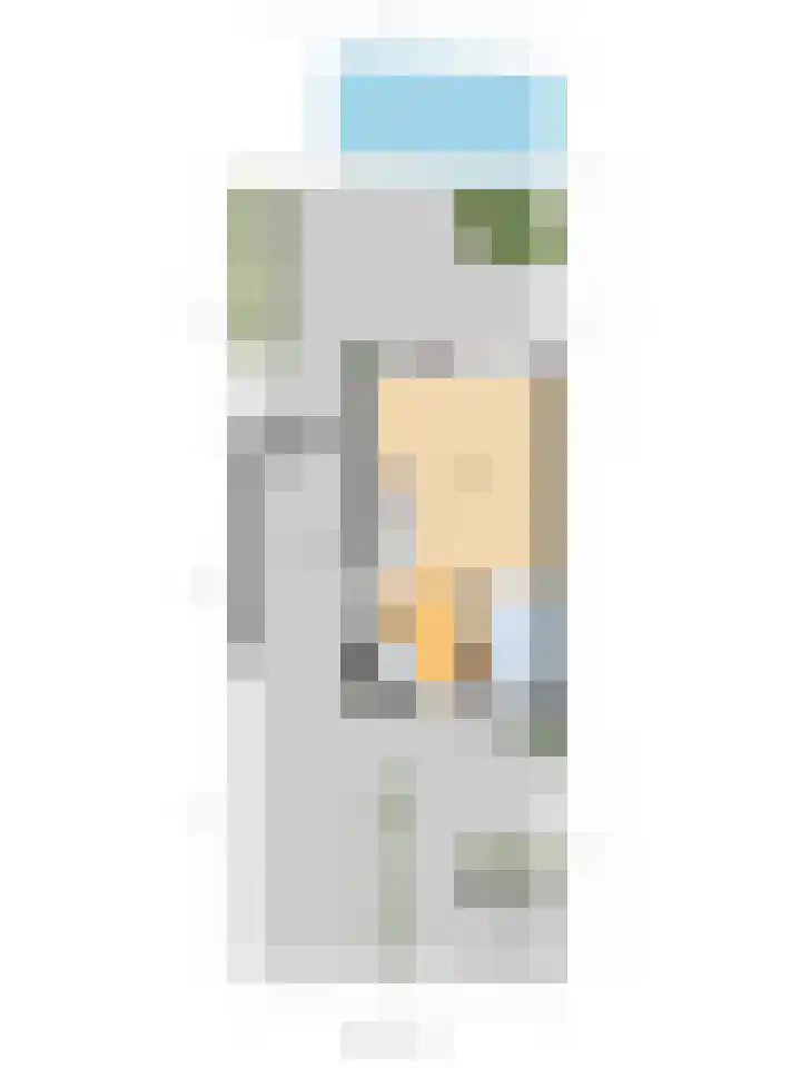 Bruinvis 15 Naaldwijk thumbnail 44