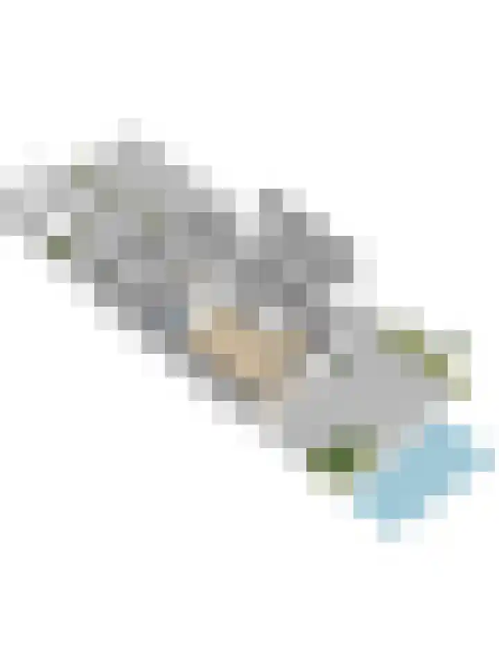 Bruinvis 15 Naaldwijk thumbnail 45