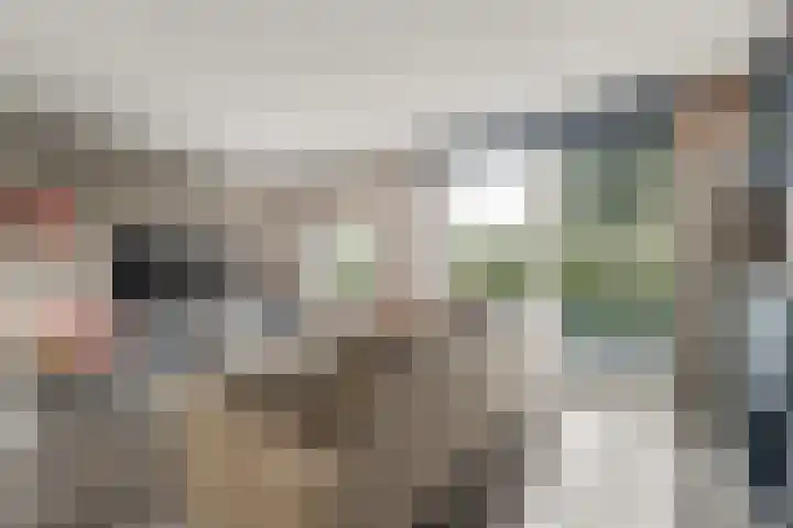 Bruinvis 15 Naaldwijk thumbnail 6