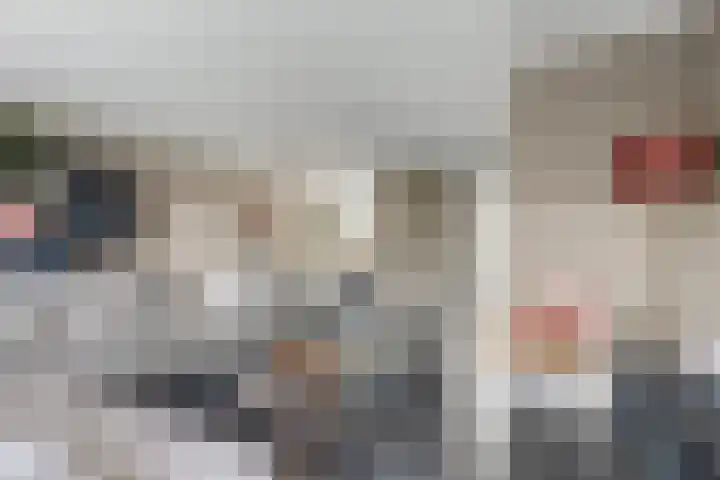 Bruinvis 15 Naaldwijk thumbnail 7