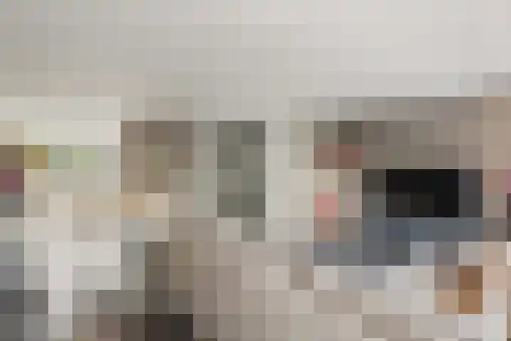 Bruinvis 15 Naaldwijk thumbnail 8