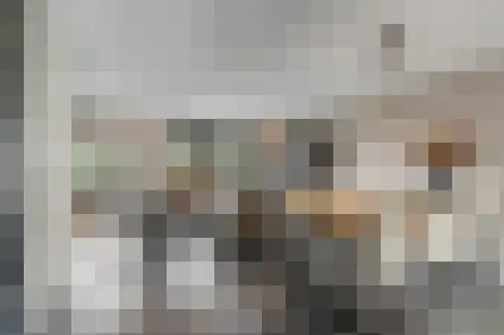 Bruinvis 15 Naaldwijk thumbnail 9