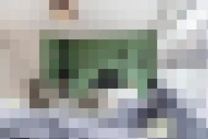 Bruinvis 16 Naaldwijk thumbnail 10
