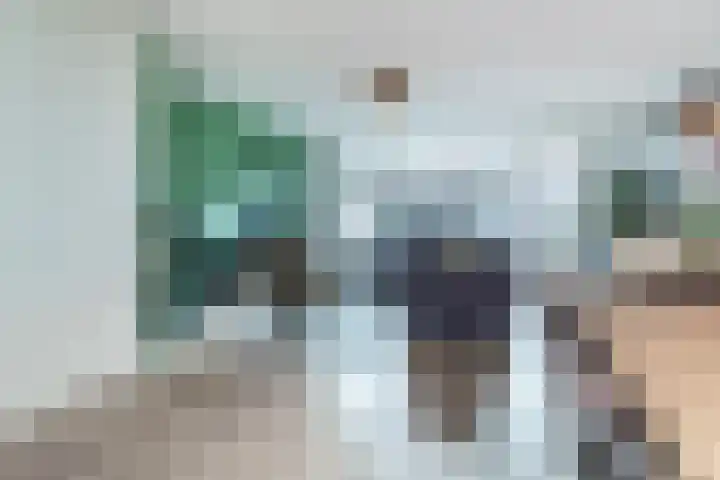 Bruinvis 16 Naaldwijk thumbnail 11
