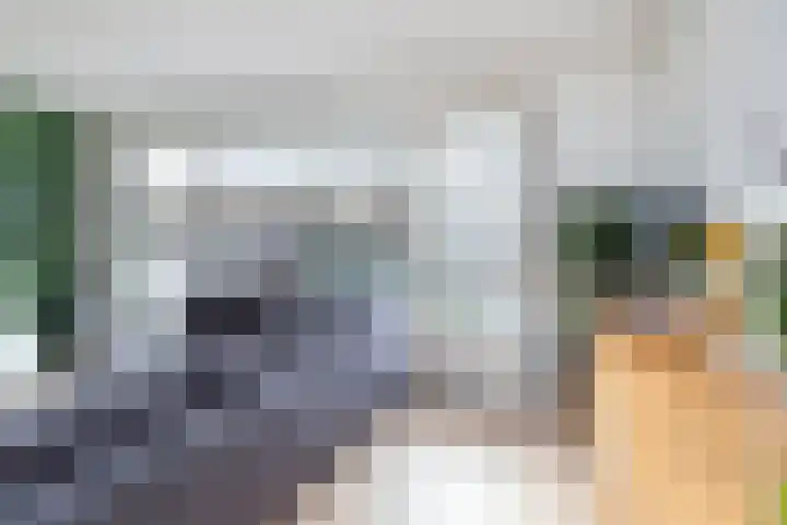 Bruinvis 16 Naaldwijk thumbnail 12