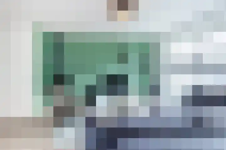 Bruinvis 16 Naaldwijk thumbnail 13