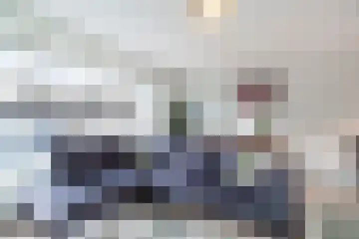 Bruinvis 16 Naaldwijk thumbnail 14