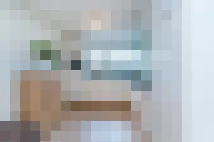 Bruinvis 16 Naaldwijk thumbnail 16