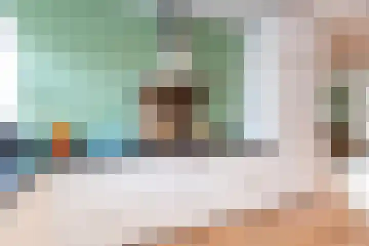 Bruinvis 16 Naaldwijk thumbnail 17