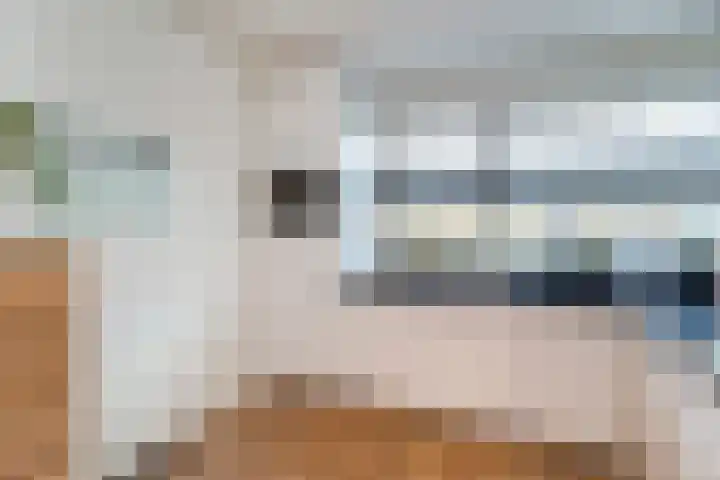 Bruinvis 16 Naaldwijk thumbnail 18