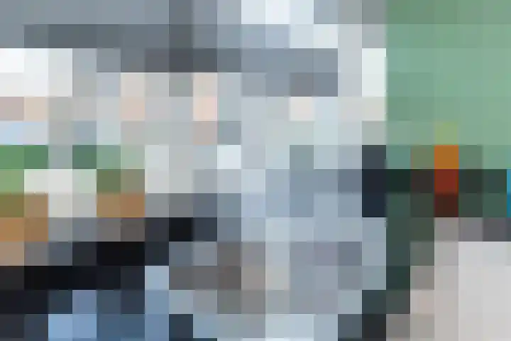 Bruinvis 16 Naaldwijk thumbnail 20