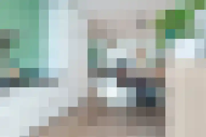 Bruinvis 16 Naaldwijk thumbnail 22