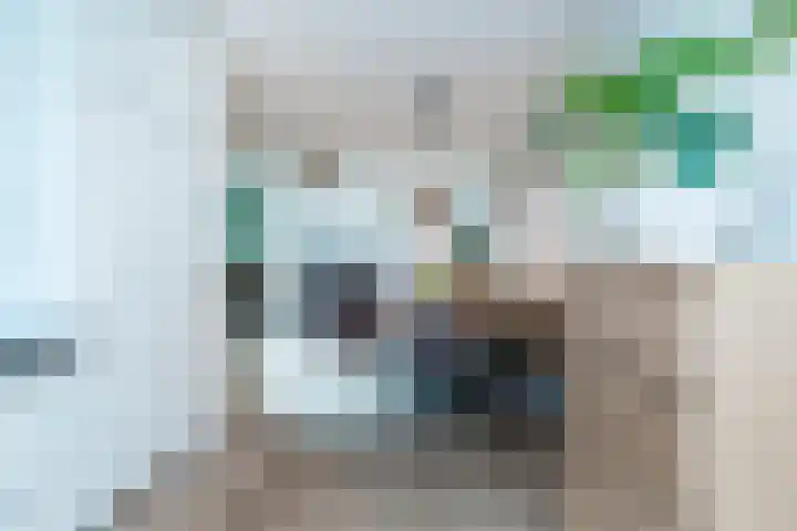 Bruinvis 16 Naaldwijk thumbnail 23