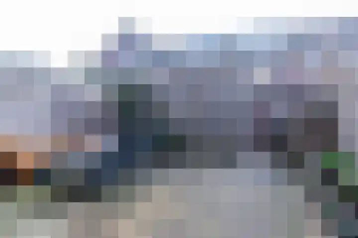Bruinvis 16 Naaldwijk thumbnail 24