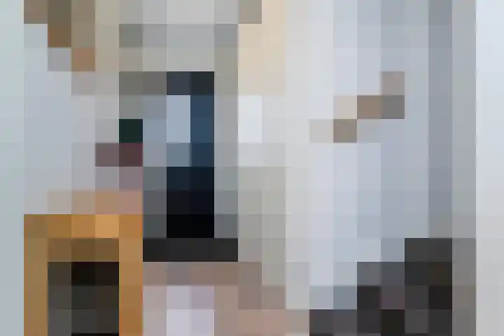 Bruinvis 16 Naaldwijk thumbnail 29