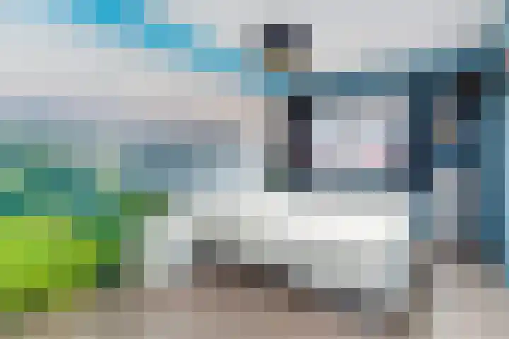 Bruinvis 16 Naaldwijk thumbnail 30