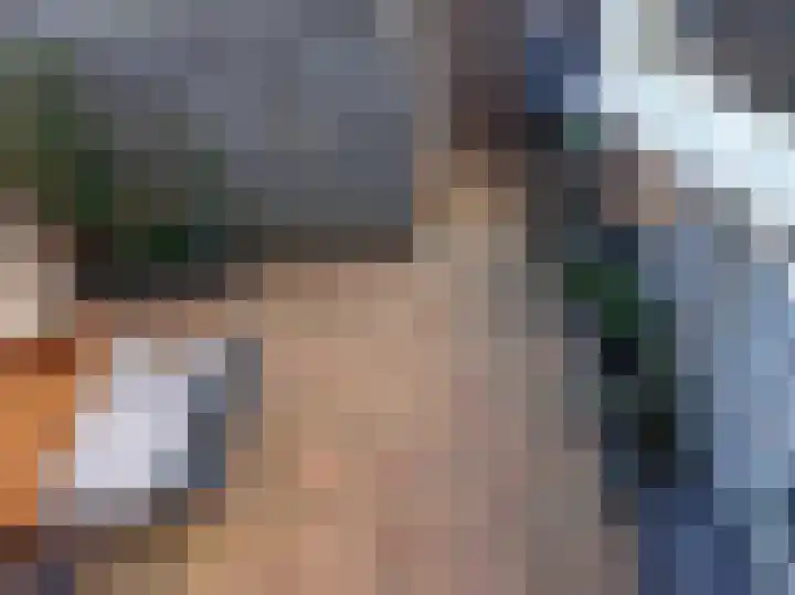 Bruinvis 16 Naaldwijk thumbnail 31