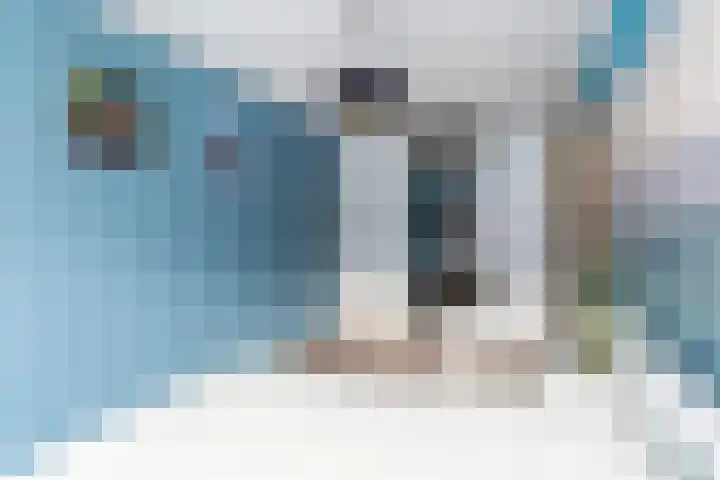 Bruinvis 16 Naaldwijk thumbnail 32