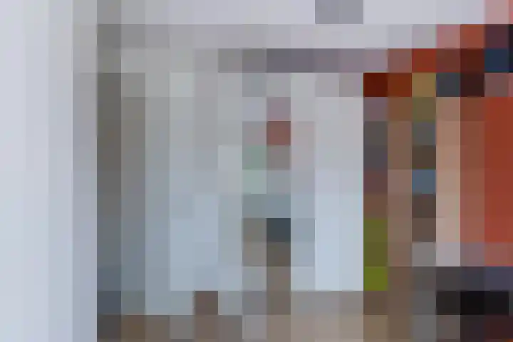 Bruinvis 16 Naaldwijk thumbnail 34