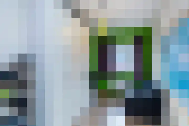 Bruinvis 16 Naaldwijk thumbnail 35